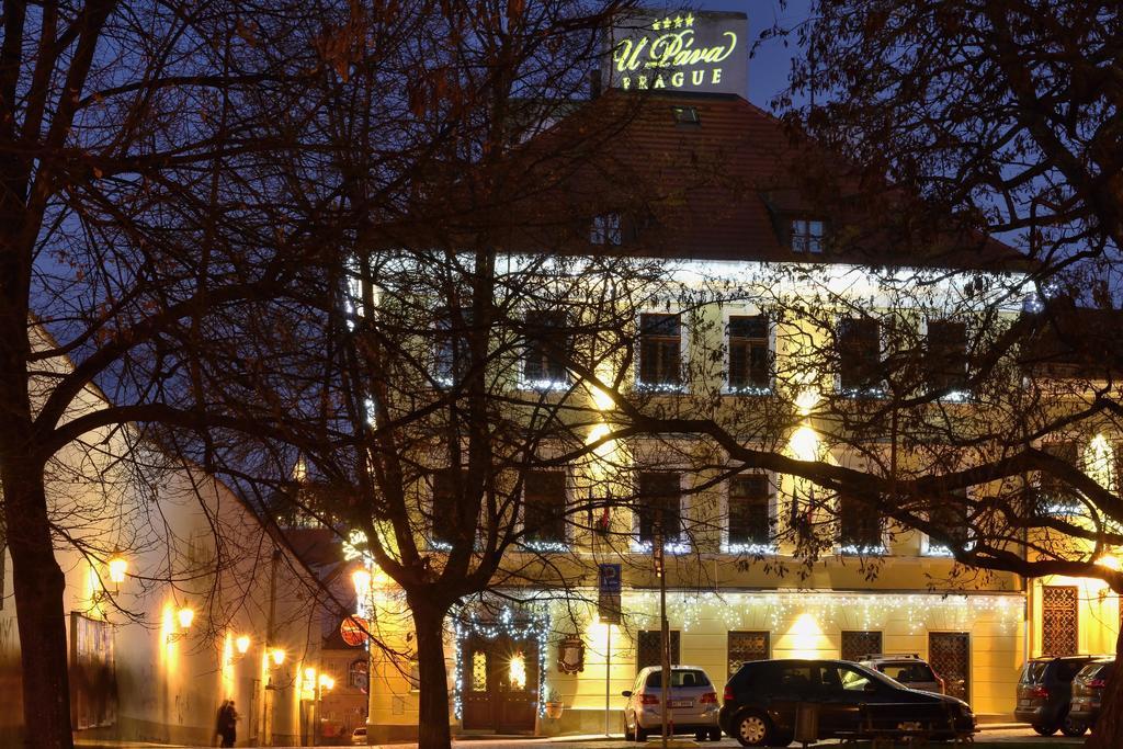 U Pava Hotel Prague Ngoại thất bức ảnh